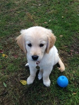 Meet Jess