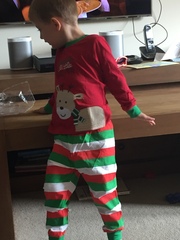 Thread 7 - the one where we have to find somewhere to hide the giant unicorns