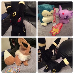 Thread 6 - the one where the shark beds go astray and we try not to eat our chocolate hauls