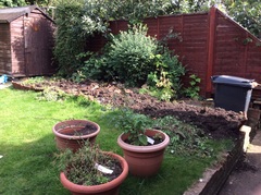 Help me make our gardens pretty?