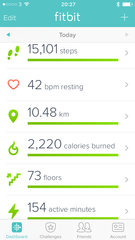 Should I buy a FitBit?