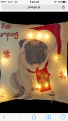 Thread 8 - anyone still looking for a poo cushion?