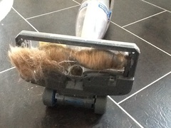 Look what I just pulled out of my vacuum cleaner!