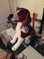 Thread 8 - anyone still looking for a poo cushion?