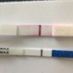 September bfp bus