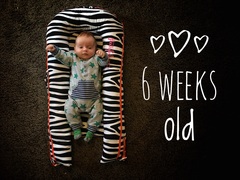 Thread 12 TTC#1 Grads. "You are my favourite thing that ever shit all over my hands"