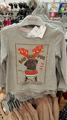 Thread 8 - anyone still looking for a poo cushion?