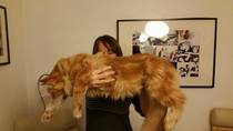 To ask you to share your slightly less than beautiful but much-loved pet pics