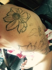 My little pony tattoo #3 - A permanent home?