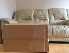 Thread 7 - the one where we have to find somewhere to hide the giant unicorns