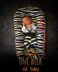 Thread 12 TTC#1 Grads. "You are my favourite thing that ever shit all over my hands"