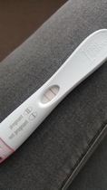 Ovulation test v pregnancy test BFP