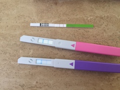 Mixed ovulation test results clearblue and onestep