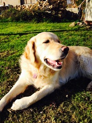 Meet Jess