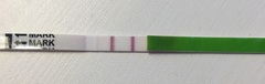 First time TTC - thread 3