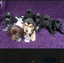 Our Girl and Captain James Addicts Thread XXXVIII