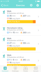 Should I buy a FitBit?