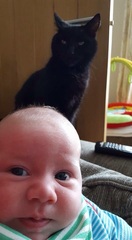 Share my kitteny joy!