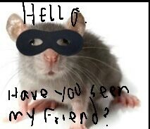 To think there is just the one mouse?