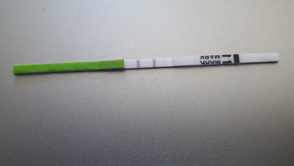 Positive opk after miscarriage- 2
