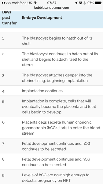 Blastocysts