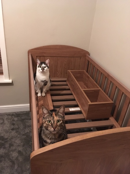 Due in February 2017 - thread #9