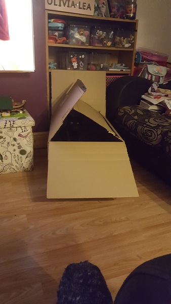 Thread 9 - the one with the surprisingly short horn