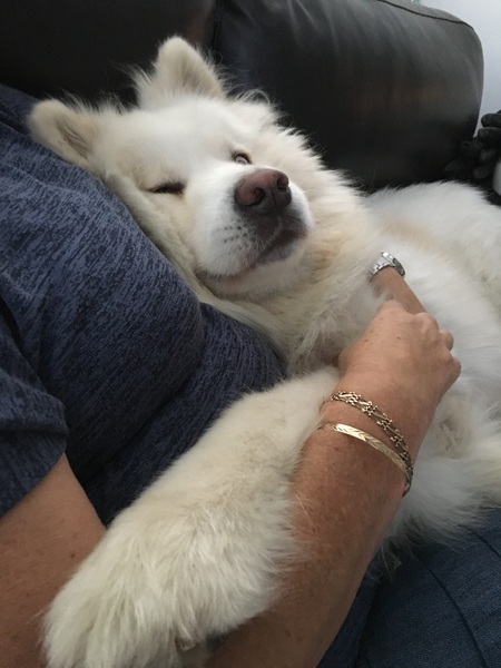 Show me your dogs while I'm waiting for mine!