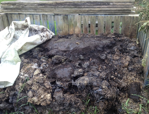 Allotment/Veg Patch - Thread 7 - The Harvesters Arms