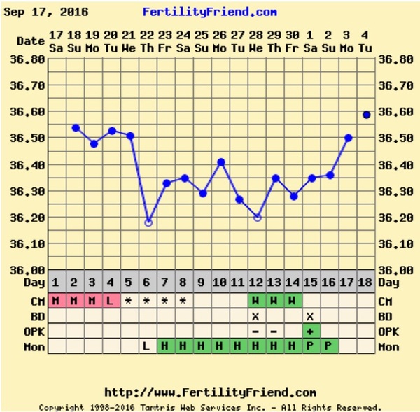 Positive opk after miscarriage- 2