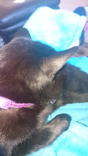 Sunday Snuggles