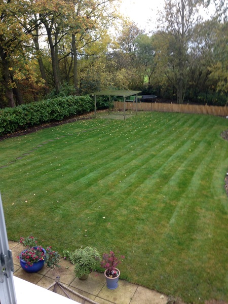 BOO! The Freaky Frugaleers prepare for Halloween and beyond. All welcome!