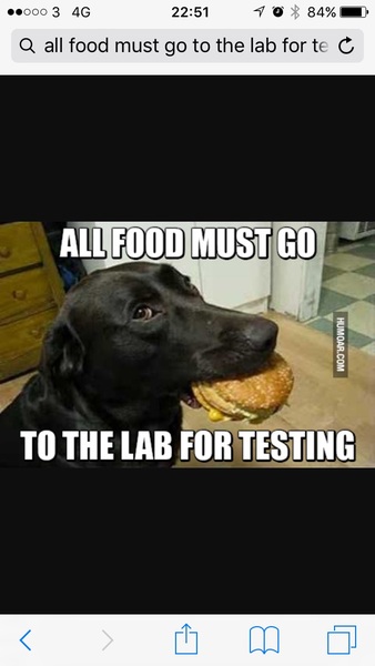 Who wants to know what happens when a labrador eats a kilo of caster sugar?