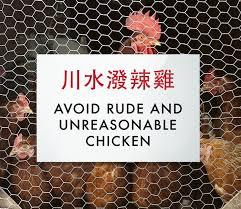 Chicken pics