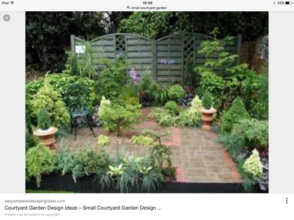 I finally have a garden and now don't actually know what to do!