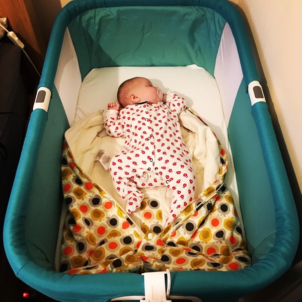 Thread 12 TTC#1 Grads. "You are my favourite thing that ever shit all over my hands"