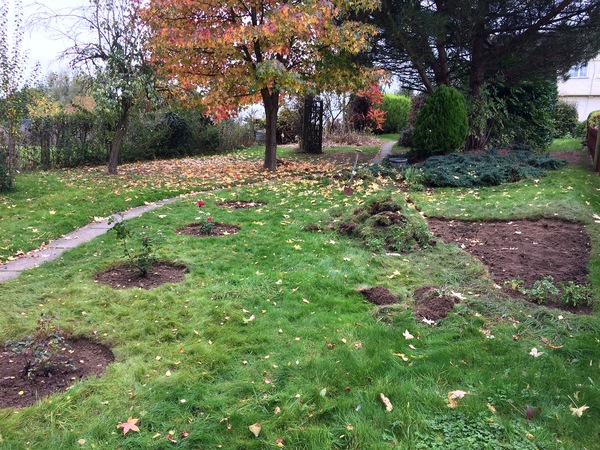 Turning back garden into veg patch