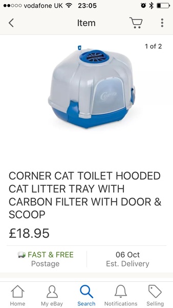 Litter Tray Help (photo of floofy tummy included in attempt to make it slightly less boring)
