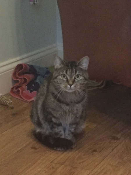 The Friendly Frugaleers, saving and chatting as autumn arrives