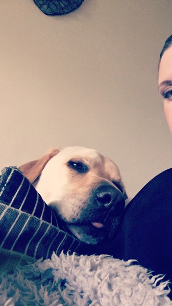 Im pregnant & want to rehome our dog - DP won't hear of it