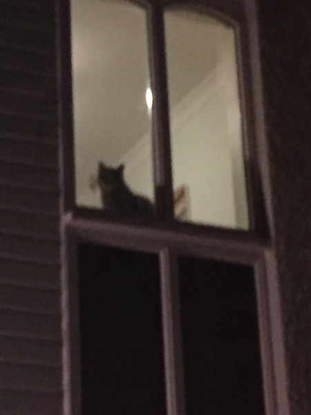 The Friendly Frugaleers, saving and chatting as autumn arrives