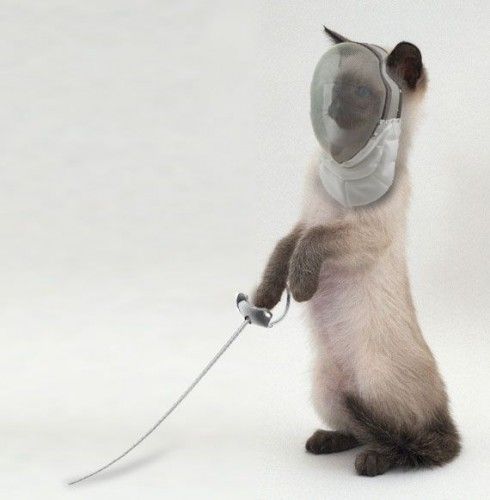 Fencing