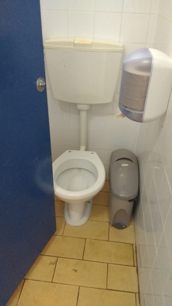 To not want to have to cuddle a sanitary bin every time I use a public loo?