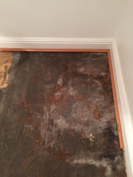 Help! Is this rising damp dangerous?