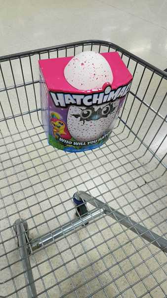 Hatchimal