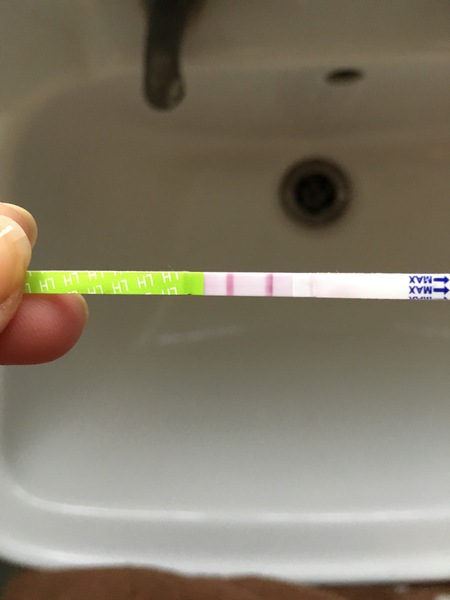 Very strong opk on cd 12 of a 35 day cycle
