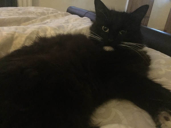 Sunday Snuggles