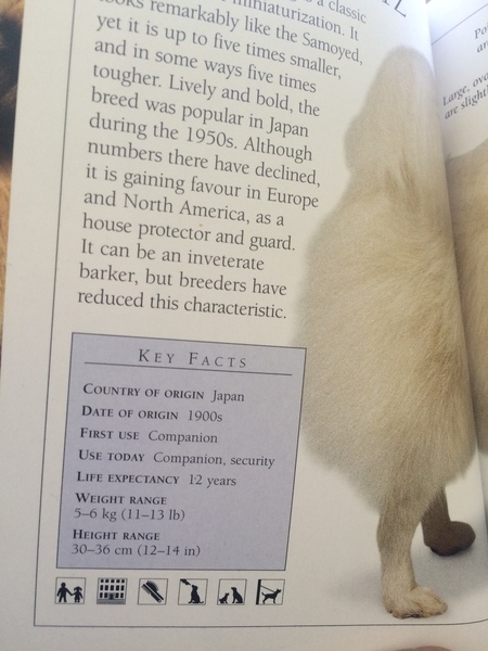 Help for a potential dog owner