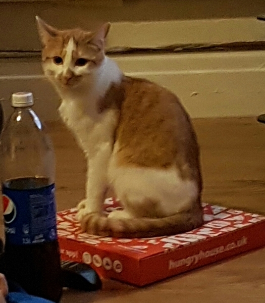 A new Neurodiversity support thread for those with suspected or diagnosed ASD, ADHD and other NDs