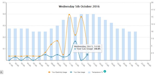 The Friendly Frugaleers, figuring out our finances with furry feline photos!